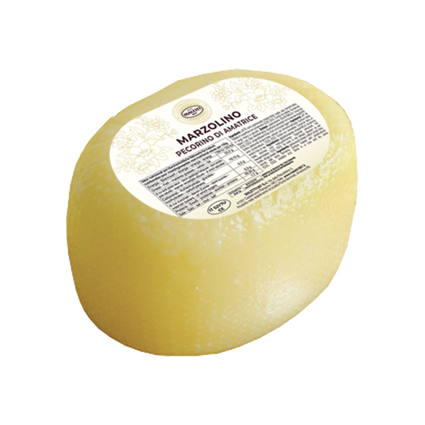 Marzolino di Amatrice